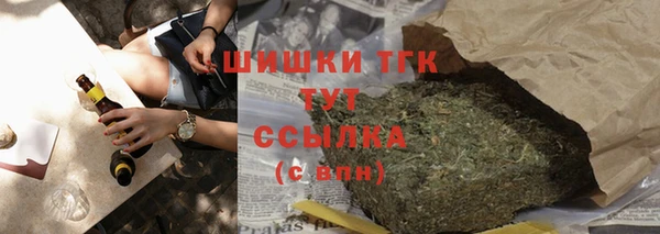шишки Белокуриха