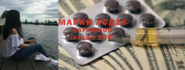 шишки Белокуриха