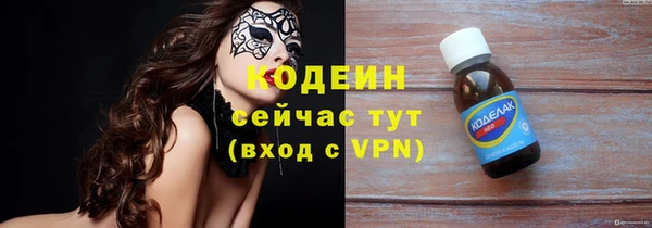 шишки Белокуриха