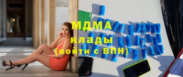 шишки Белокуриха