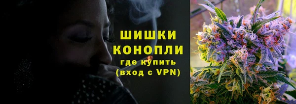 шишки Белокуриха