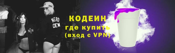 шишки Белокуриха