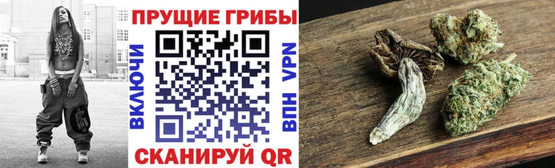 Галлюциногенные грибы прущие грибы  наркота  Янаул 